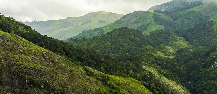 Nelliyampathy Hills